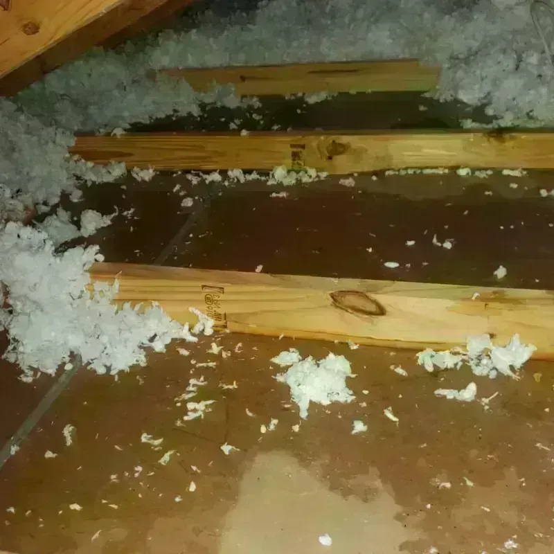 Attic Water Damage in Gray Summit, MO